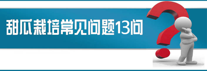 蔬菜種子栽培技術(shù)-<strong><font color='#006428'>甜瓜栽培常見問題13問？</font></strong>